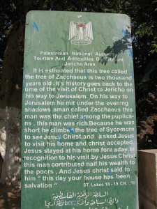 Middle East irony: plaque describing Zacchaeus' sycamore tree