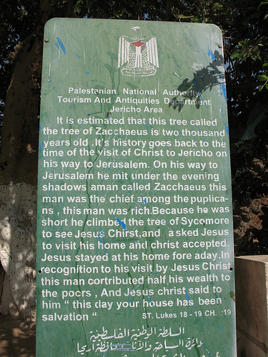 Middle East irony: plaque describing Zacchaeus' sycamore tree. Will Lois Lerner pay soe of the price he paid?