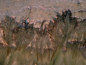 Water on Mars flows down the wall of the Newton crater in Martian summer.