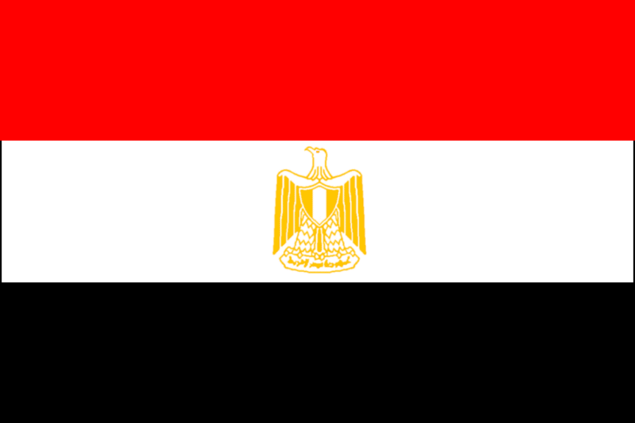 Flag of Egypt. What happened in Egypt is a metaphor for American policy failures in the Middle East.