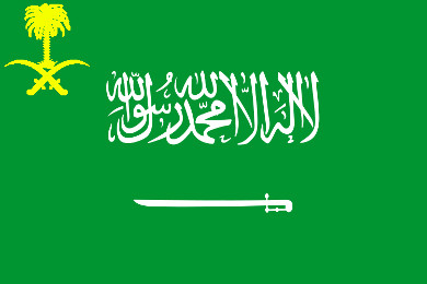 Any Saudi national is loyal to this flag and no other. But will Saudi Arabia now turn into an AI capital?
