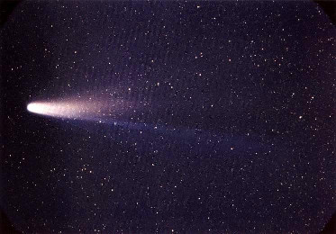 Comet Halley was launched during the Global Flood