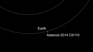 Asteroid 2014 DX 110