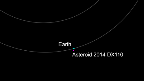 Asteroid 2014 DX 110
