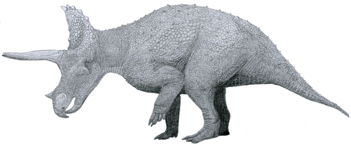 Triceratops horridus as a scientist thinks it might have looked.