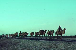 Silk Road caravan