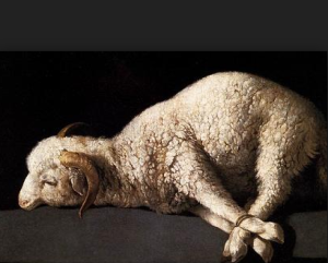 A sacrificial lamb