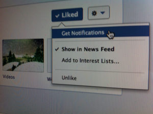 A Facebook notification settings page. Are Facebook and other social media subversive? And in a conspiracy of censorship?