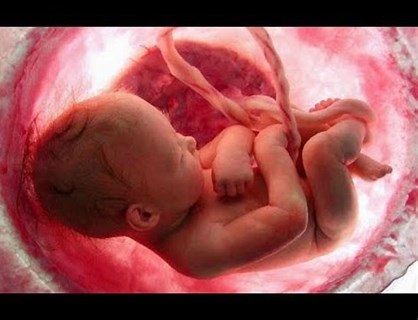 An unborn child.