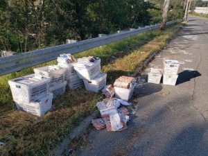 Voter fraud again: military ballots discarded by the roadside.