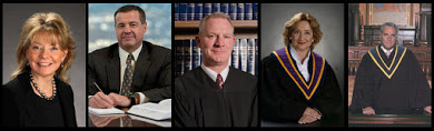 This gallery of rogue judges all endorsed voter fraud in recent rulings.