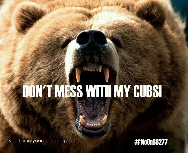 Don't mess with my cubs!