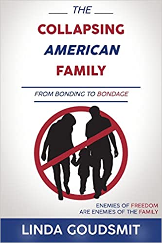 The Collapsing American Family - cover art