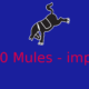 2000 Mules has an impact
