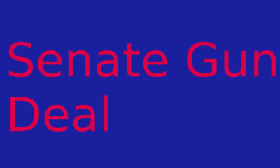 Senate gun deal