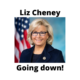 Liz Cheney going down