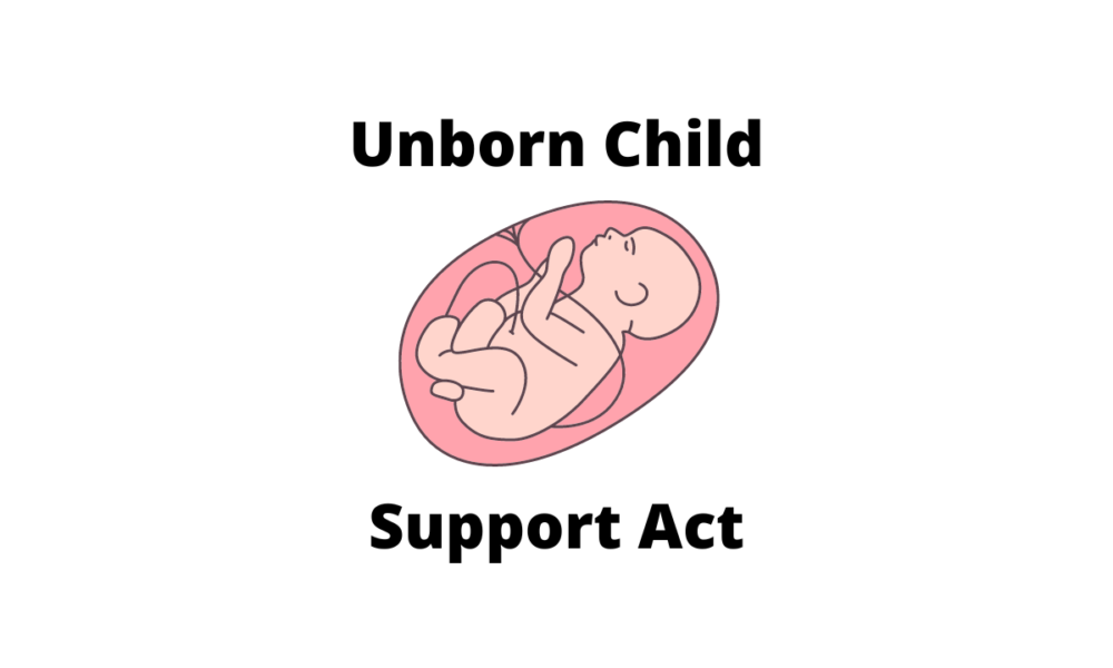 Unborn child support