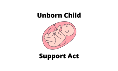 Unborn child support