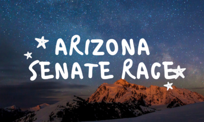 Arizona Senate race