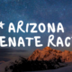 Arizona Senate race