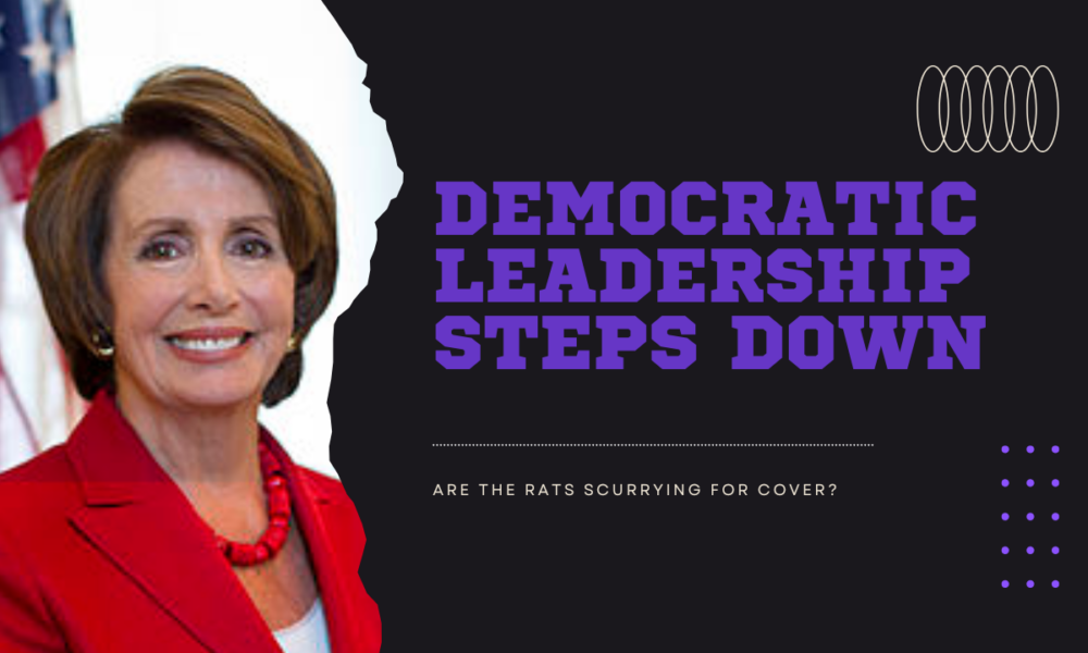 Democratic leadership steps down