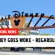 Disney goes woke, regardless