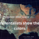 Environmentalists show their true colors