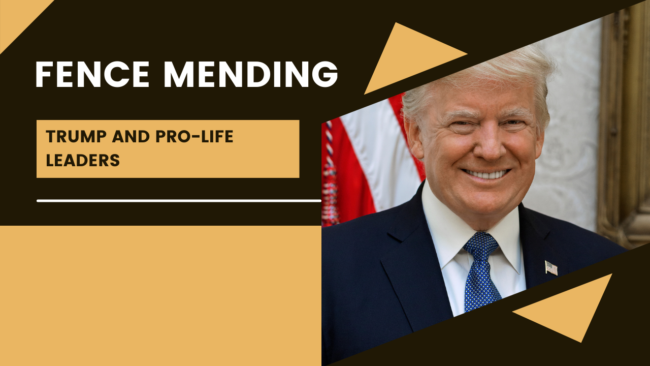 Trump mends fences with pro-life leaders