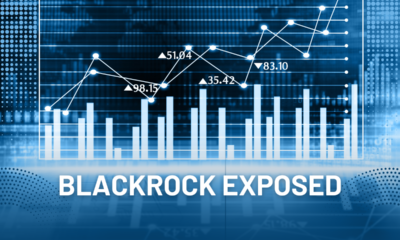 BlackRock exposed as dangerous power broker