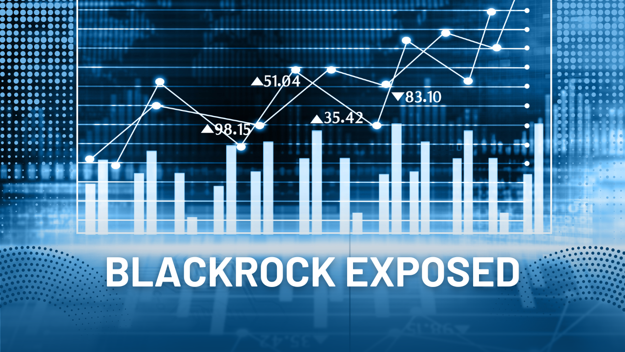 BlackRock exposed as dangerous power broker
