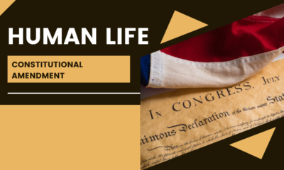 Human Life Amendment – proposals and effects
