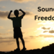 Sound of Freedom Two?