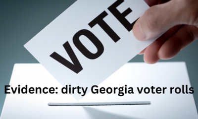 True the Vote believes they can vindicate Trump in Georgia