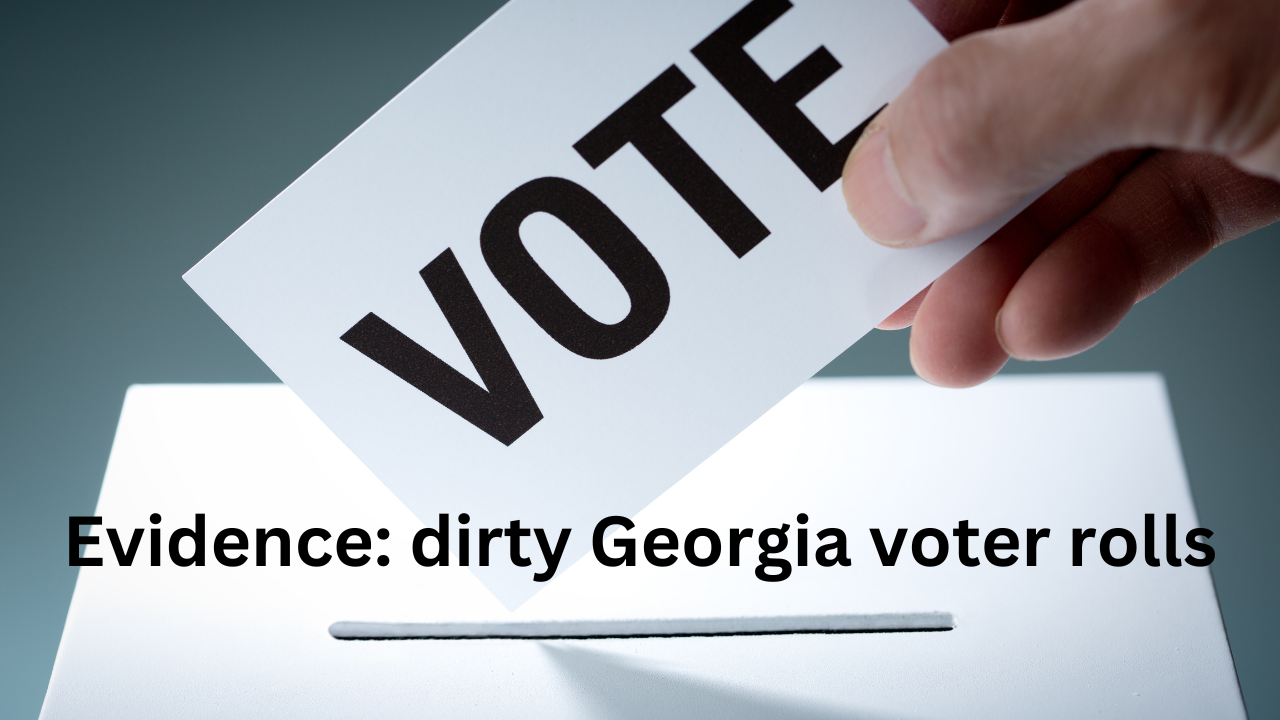 True the Vote believes they can vindicate Trump in Georgia