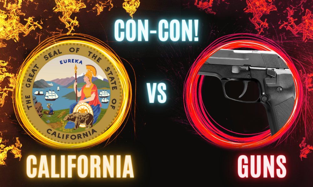 California calls for anti-gun con-con