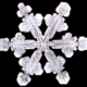 Snow crystal as symbol of winter