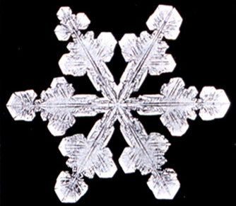 Snow crystal as symbol of winter