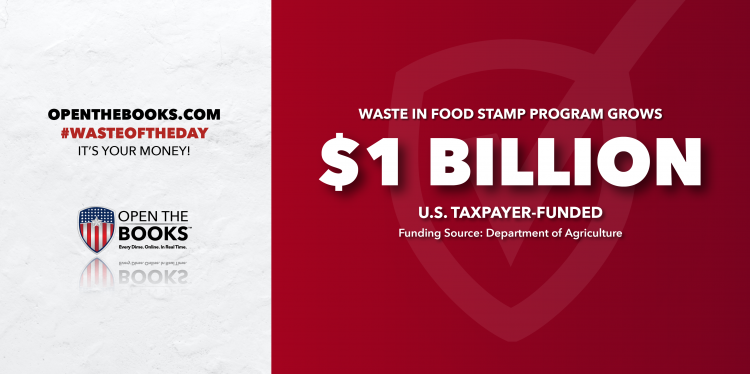 Waste of the Day: Cutting Food Stamp Fraud, Waste Could Save $1 Billion Monthly
