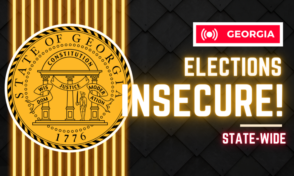 Georgia elections insecure statewide?
