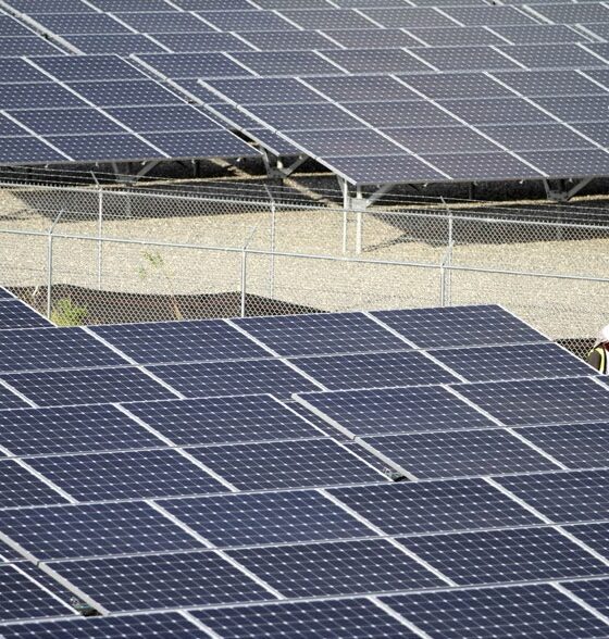 Solar farm - an example of green energy