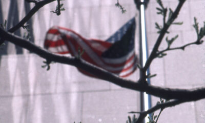 This Week in Censorship flag of USA blurred