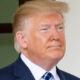 Trump in right profile, close-up