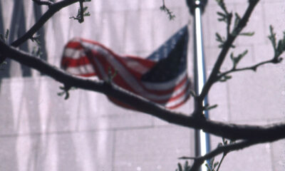 USA flag with tree in foreground, next to office building