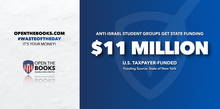 Waste of the Day: NY State-Funded College Groups Pass Anti-Israel Resolutions