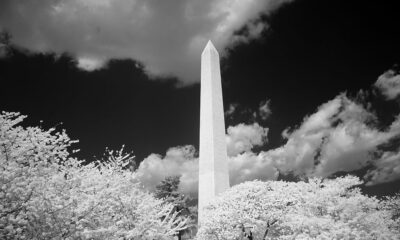 Washington Monument IR view with surrounding trees