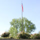 American flag hanging limp on flagpoll above tree