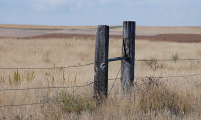 Barbed wire fence