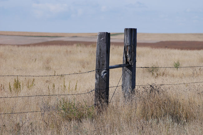 Barbed wire fence