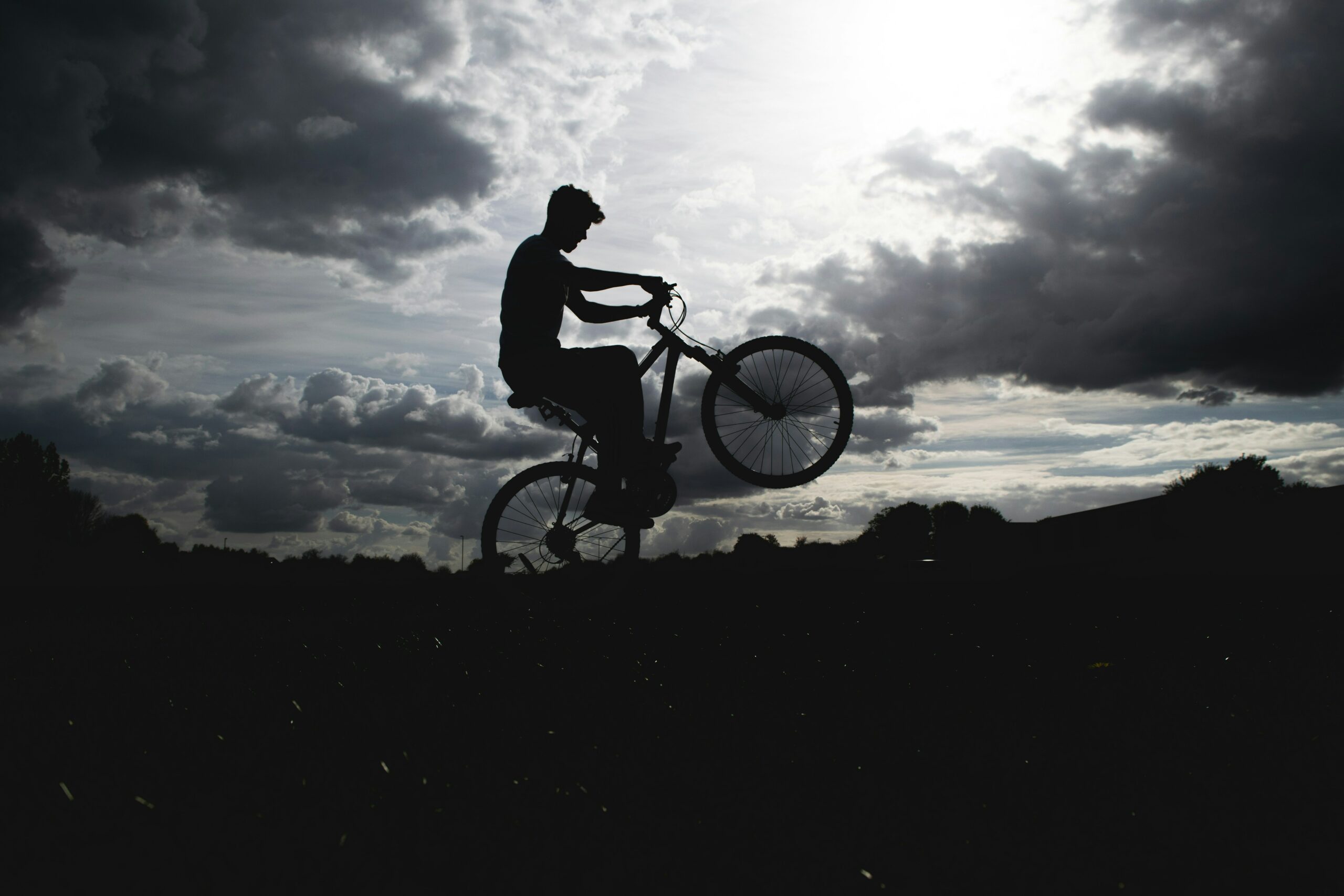 A boy bucks his mountain bike as if it were a horse - or a motorcycle