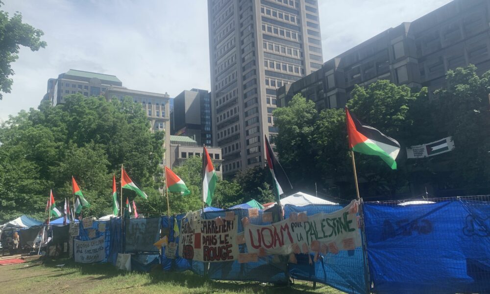 Campus protest camp with Palestine flags flying eye-level view with cityscape background